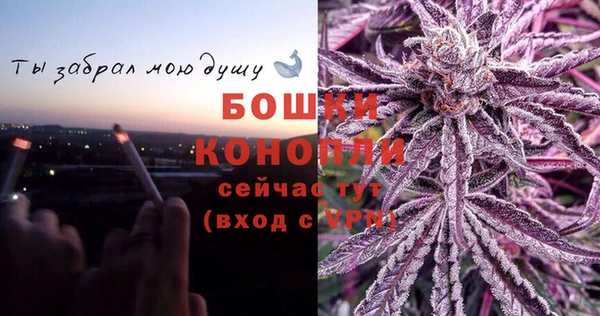 PSILOCYBIN Алзамай