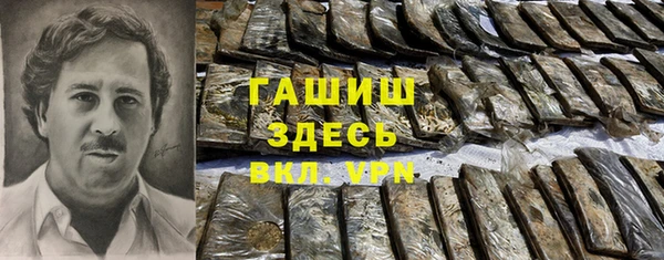 PSILOCYBIN Алзамай