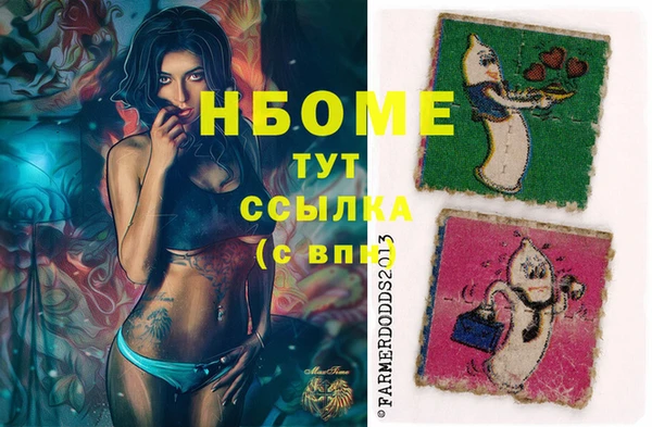 PSILOCYBIN Алзамай