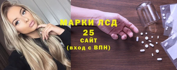 PSILOCYBIN Алзамай