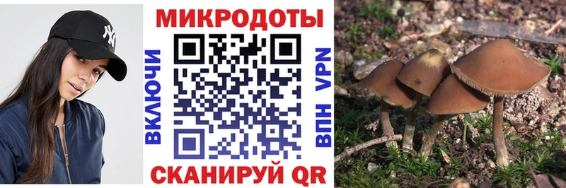 Псилоцибиновые грибы мицелий купить наркотики сайты Покров